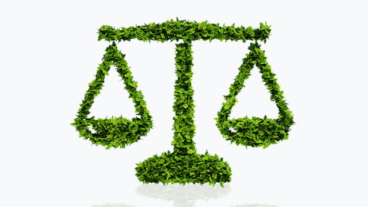 Certificate in Environmental Law (GUC)
