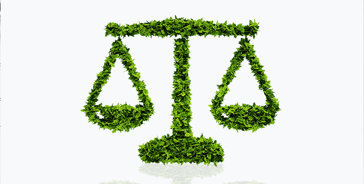 Certificate in Environmental Law (GUC)